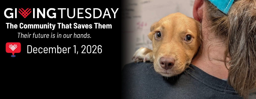 Giving Tuesday Peer 2 Peer Fundraiser
